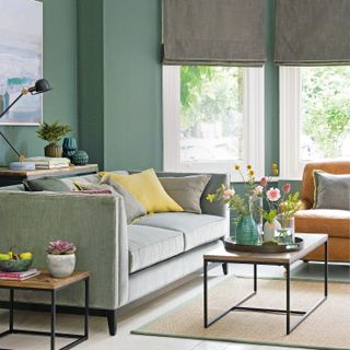 Green living with grey linen blinds and a grey green sofa
