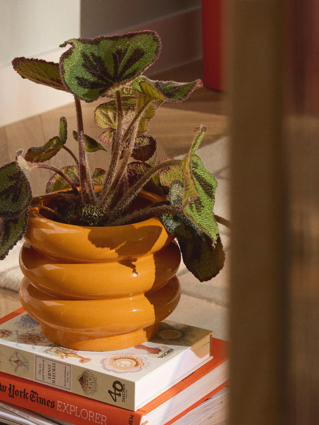 An orange planter from Westwing on a stack of books