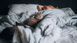 A person in bed with two cats sleeping on it
