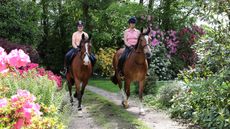 Introducing horses to new places: a quiet hack