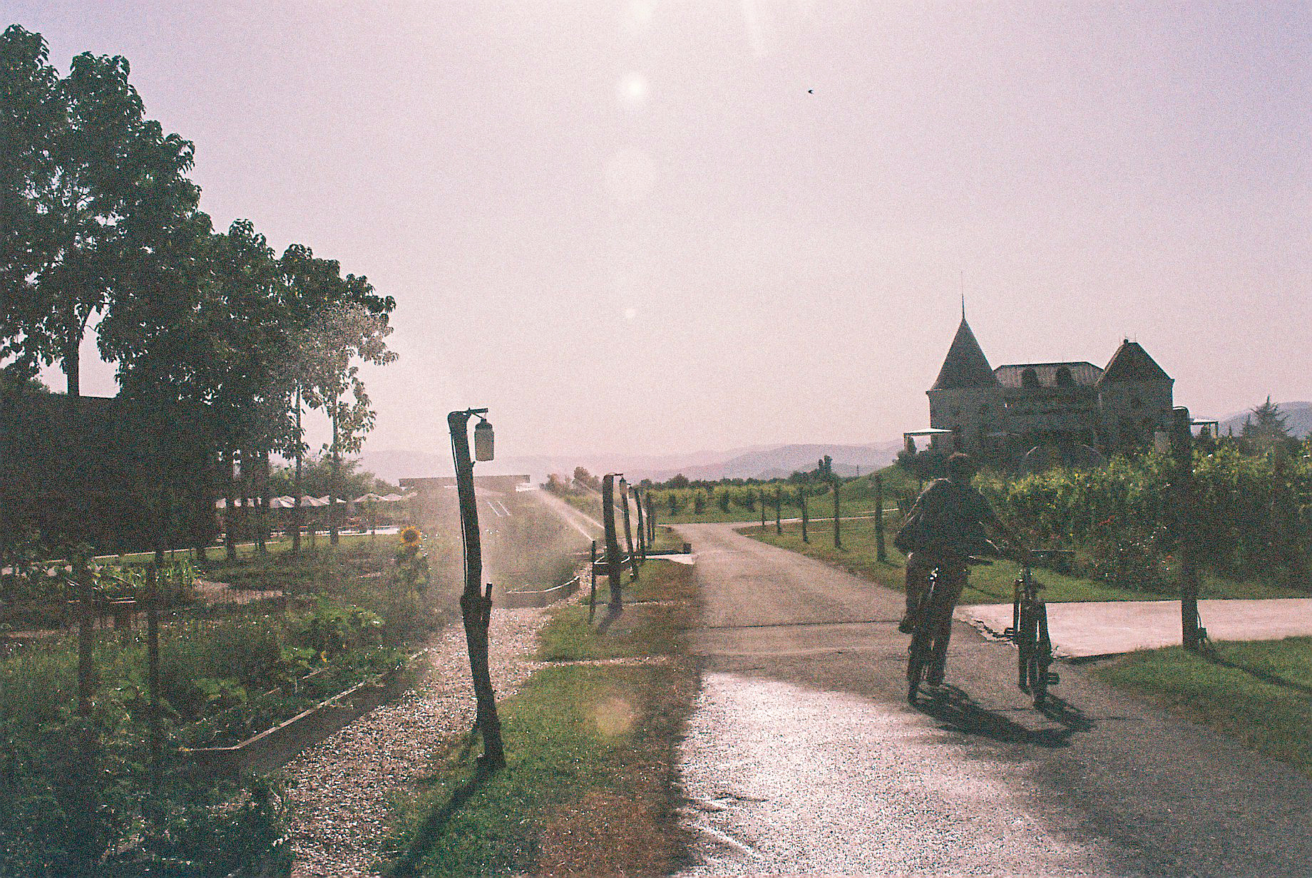 A series of pictures depicting the interior and exterior grounds of a sprawling resort, immersed in nature, between vineyards, gardens, and spa pools, and decorated with crafty artifacts.