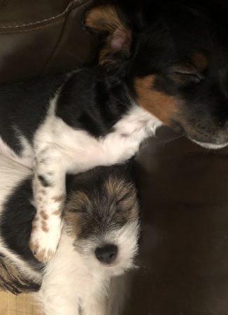 Unknown-6-e1518167390337.jpeg