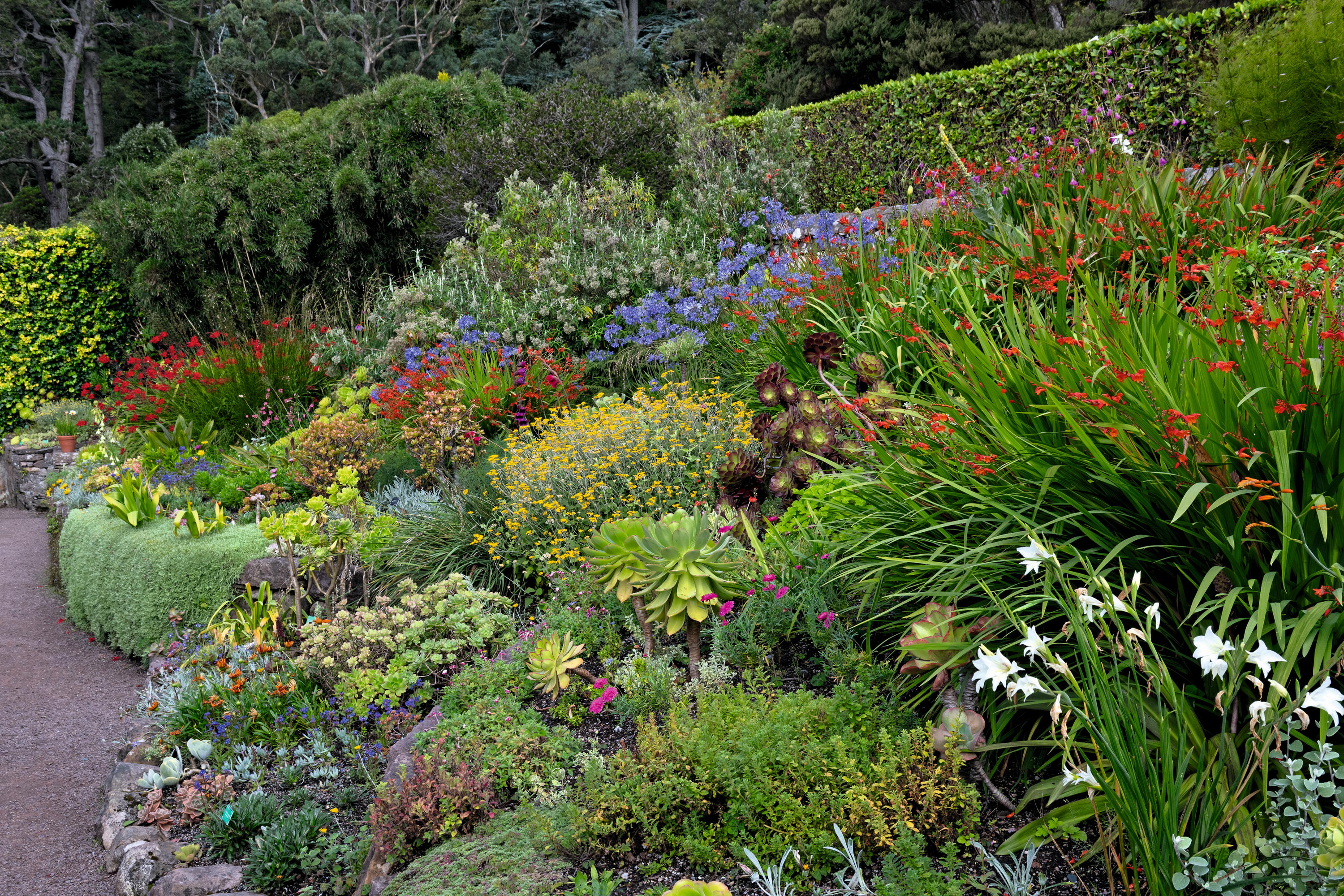 The garden at Inverewe in Wester Ross as photographed by Andrea Jones
