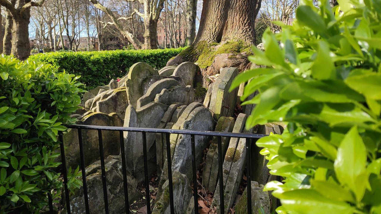 Focused on the grave stones. (Image credit: TechRadar)