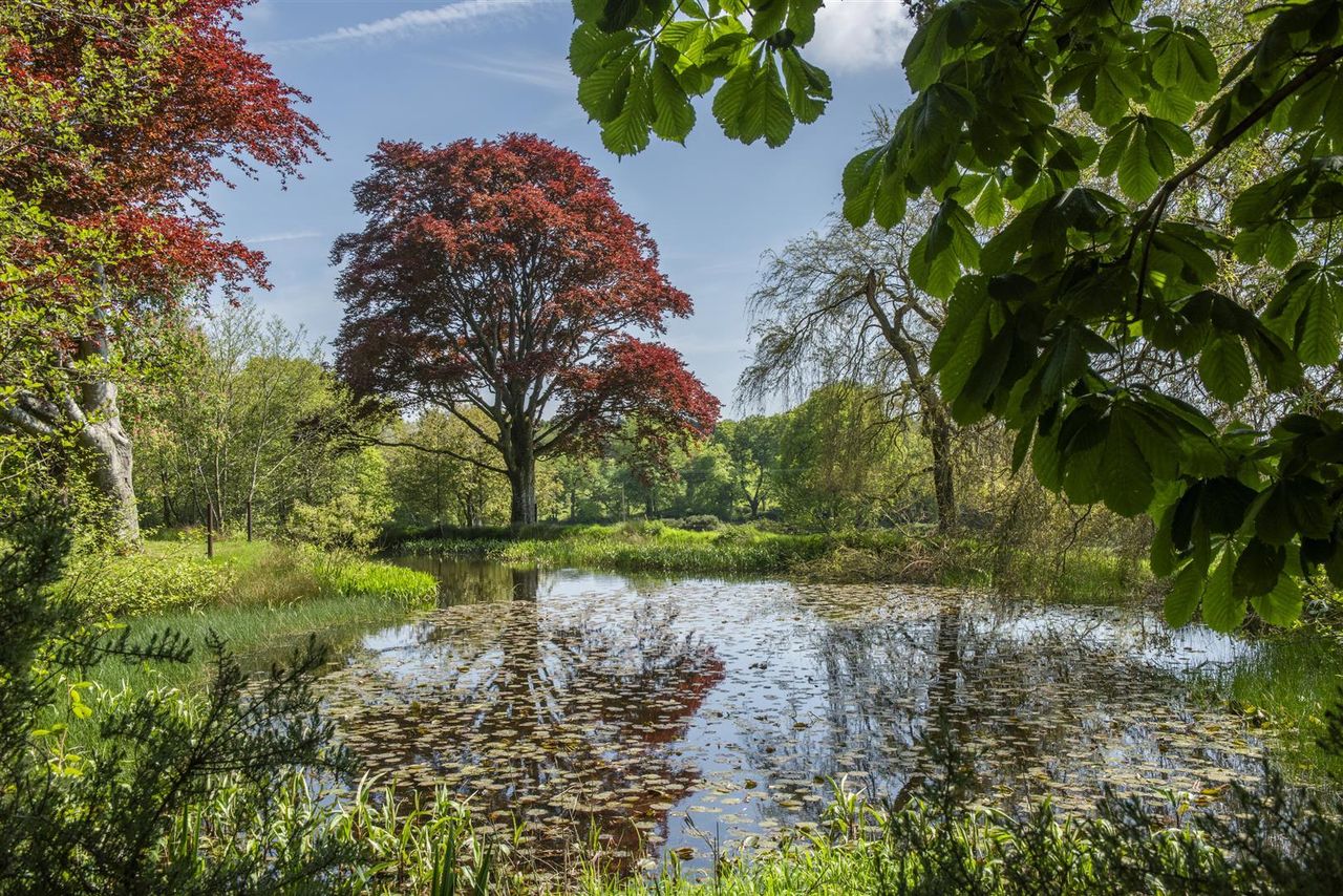 Avishays in Somerset