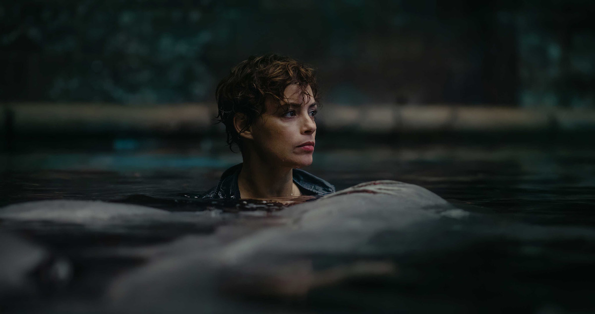 Netflix's new number one is a brutal shark movie