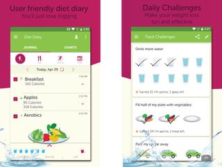 perfect diet tracker software