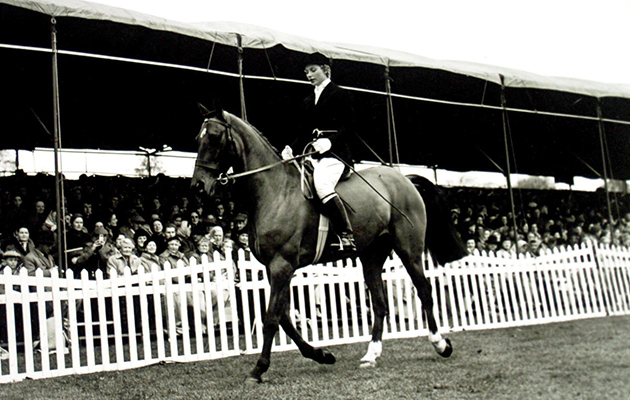Equestrian - Badminton Horse Trials - Dressage