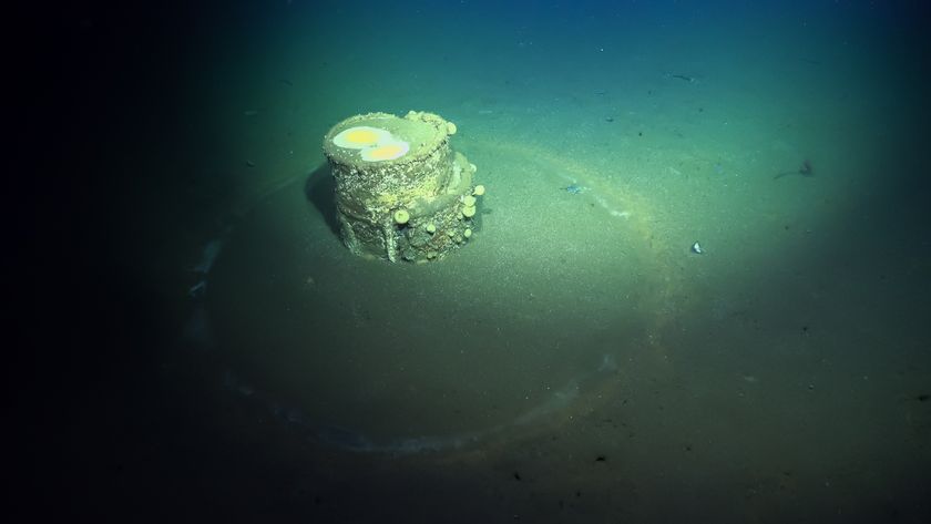 an underwater photo of a barrel on the sea floor