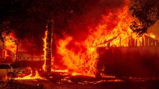 A home is engulfed in flames as the Dixie fire rages on in Greenville, California, on Aug. 5, 2021.