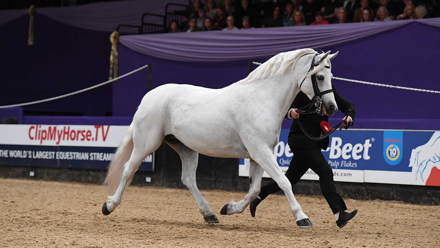 HOYS 2022