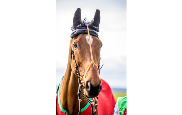 Grand National April Fools