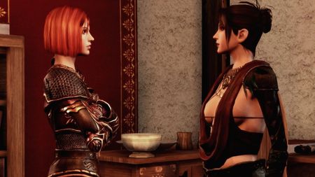 Dragon Age Leliana and Morrigan 