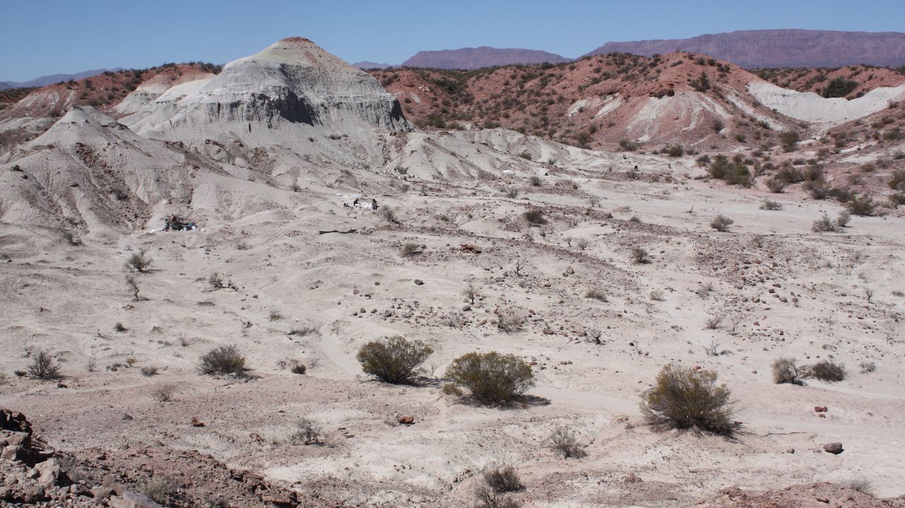 The Cha&ntilde;ares Formation, where lagerpetid fossils were found.