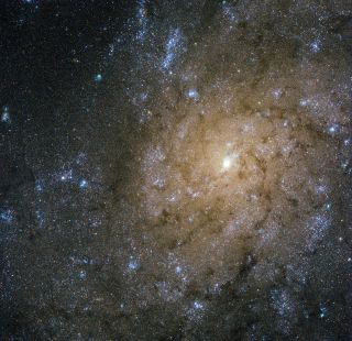 The galaxy NGC 7793 shines in this new image from the Hubble Space Telescope released on Sept. 22, 2014.