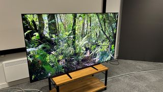 The Sony Bravia 9 Mini LED TV shot at an angle on a wooden TV stand. On screen is a jungle scene.