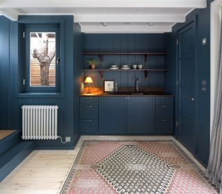 dark blue garden room with built in kitchenette