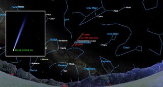 april 2020 night sky Comet Atlas in the Northern Sky