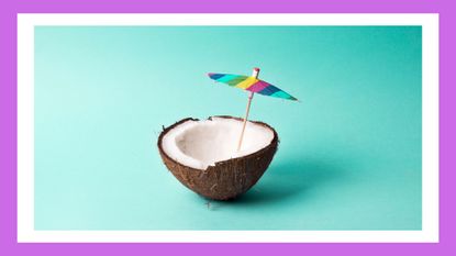 Coconut with a cocktail umbrella on bright blue background. Summer and vacations concept. Still life.