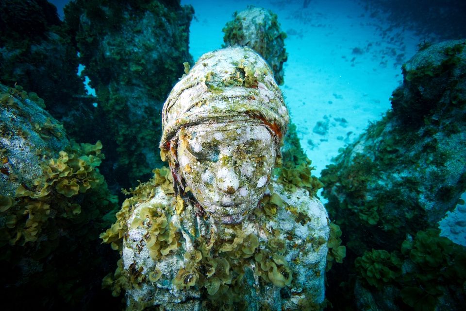 12 Outstanding Artificial Reefs to Visit