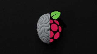 A brain halved by a Raspberry Pi logo