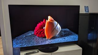 Panasonic Z95A with flowers on screen