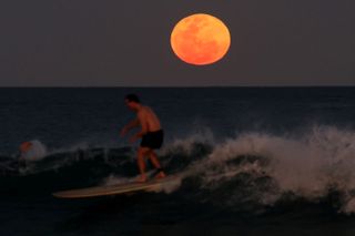 a surfer rides a wave in the foreground and in the background is a orange colored full moon.