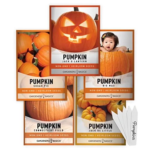 Pumpkin Seeds Variety Pack