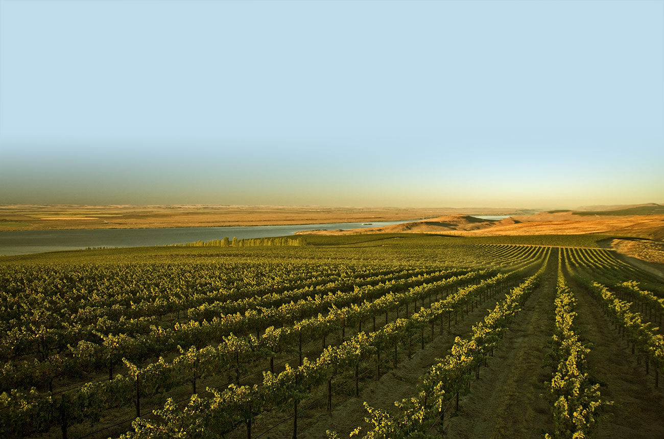 Washington State pioneers