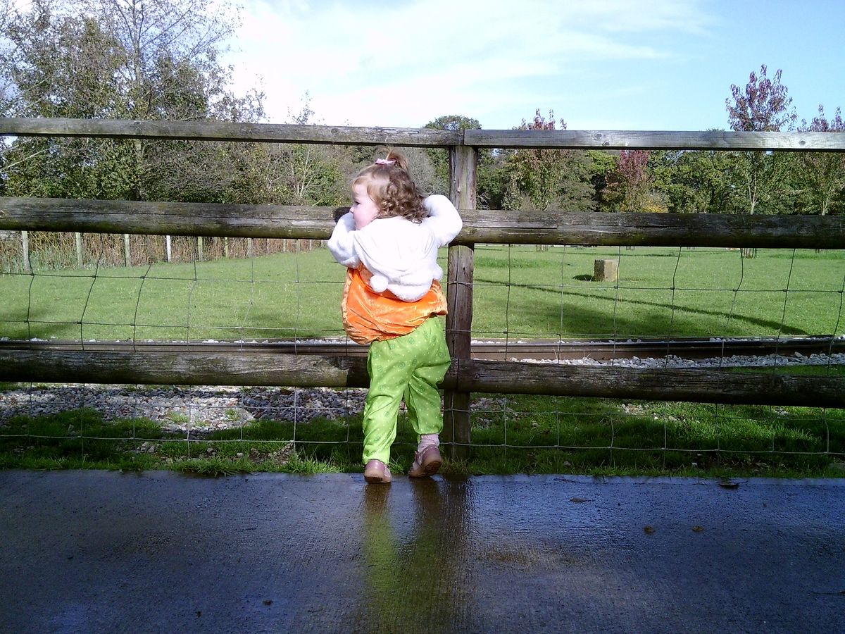 sample images from the my first camera 3 kids camera taken at a farm
