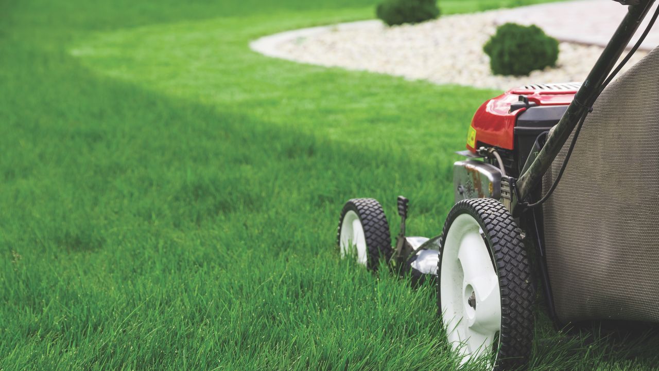 lawn cutting in winter