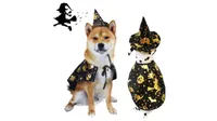 halloween dog costumes
