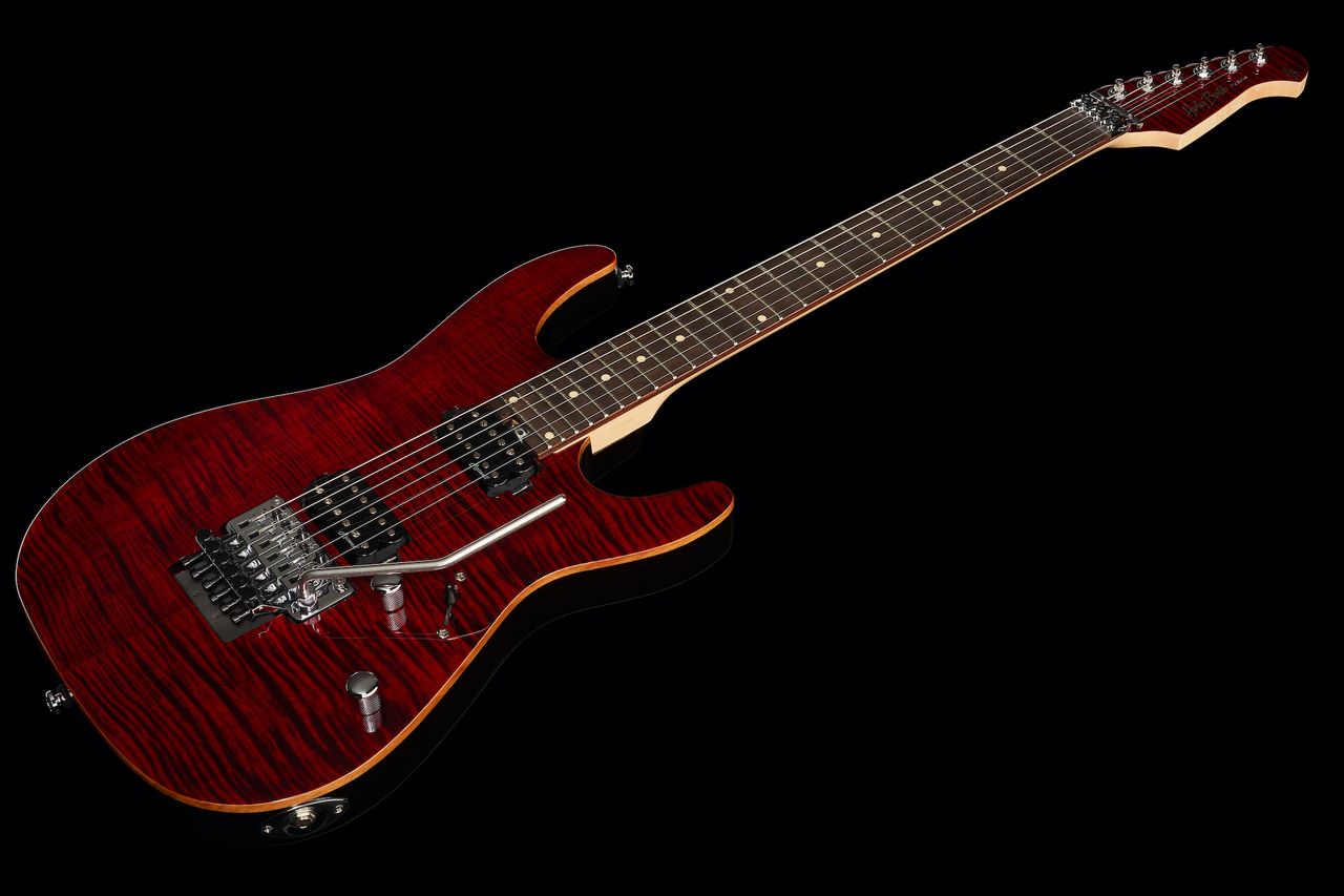 Harley Benton Fusion-III HH FR EB FCH