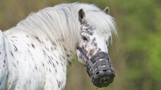 Alamy-MYB1DF_402283621_724316202.jpg
