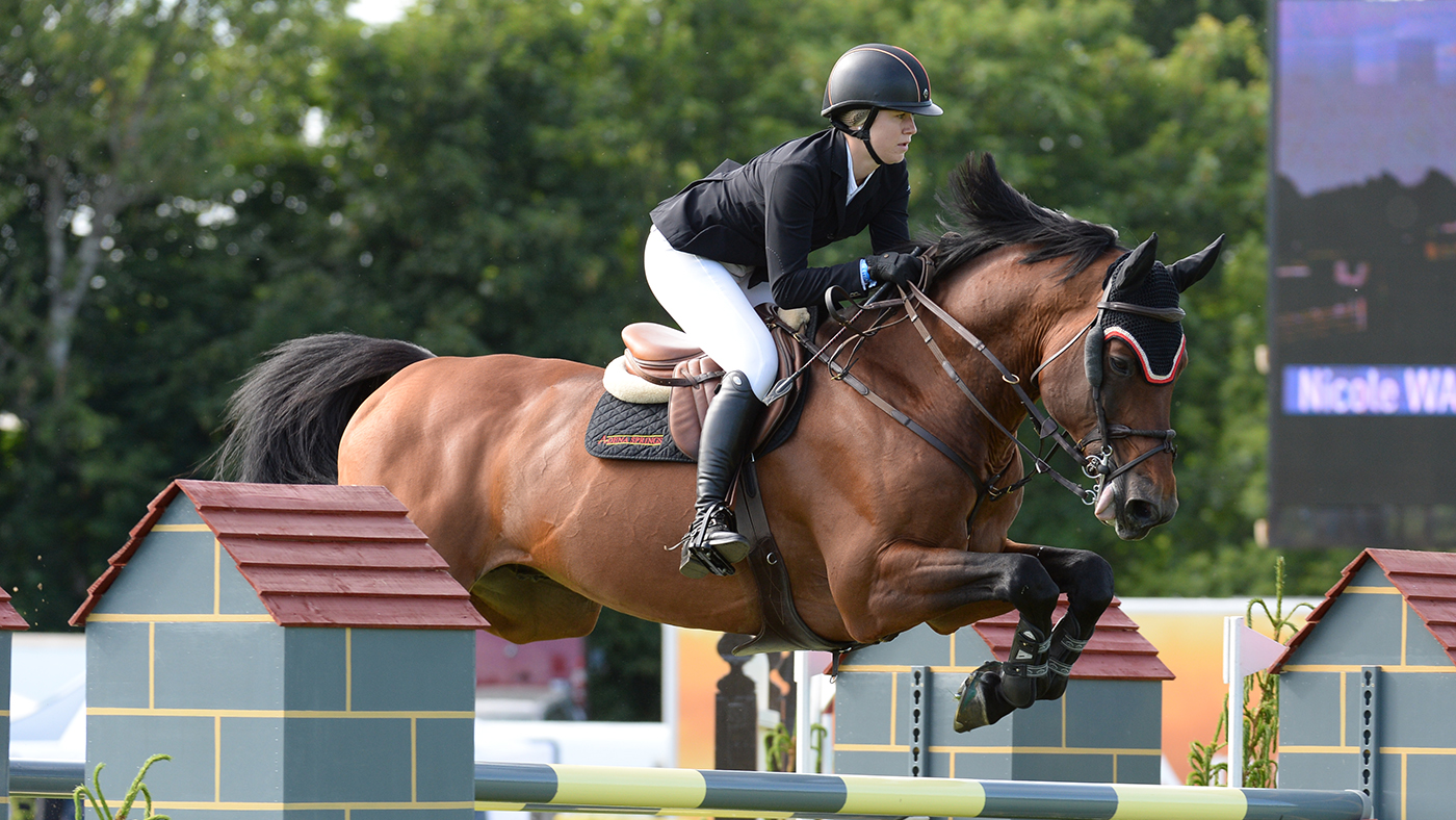 DEKO DE LANDETTA Z - WESTF Stallion Bay 2004 Diamant de Semi x Caletto I Nicole WALKER