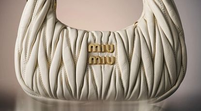 Miu Miu Wander bag