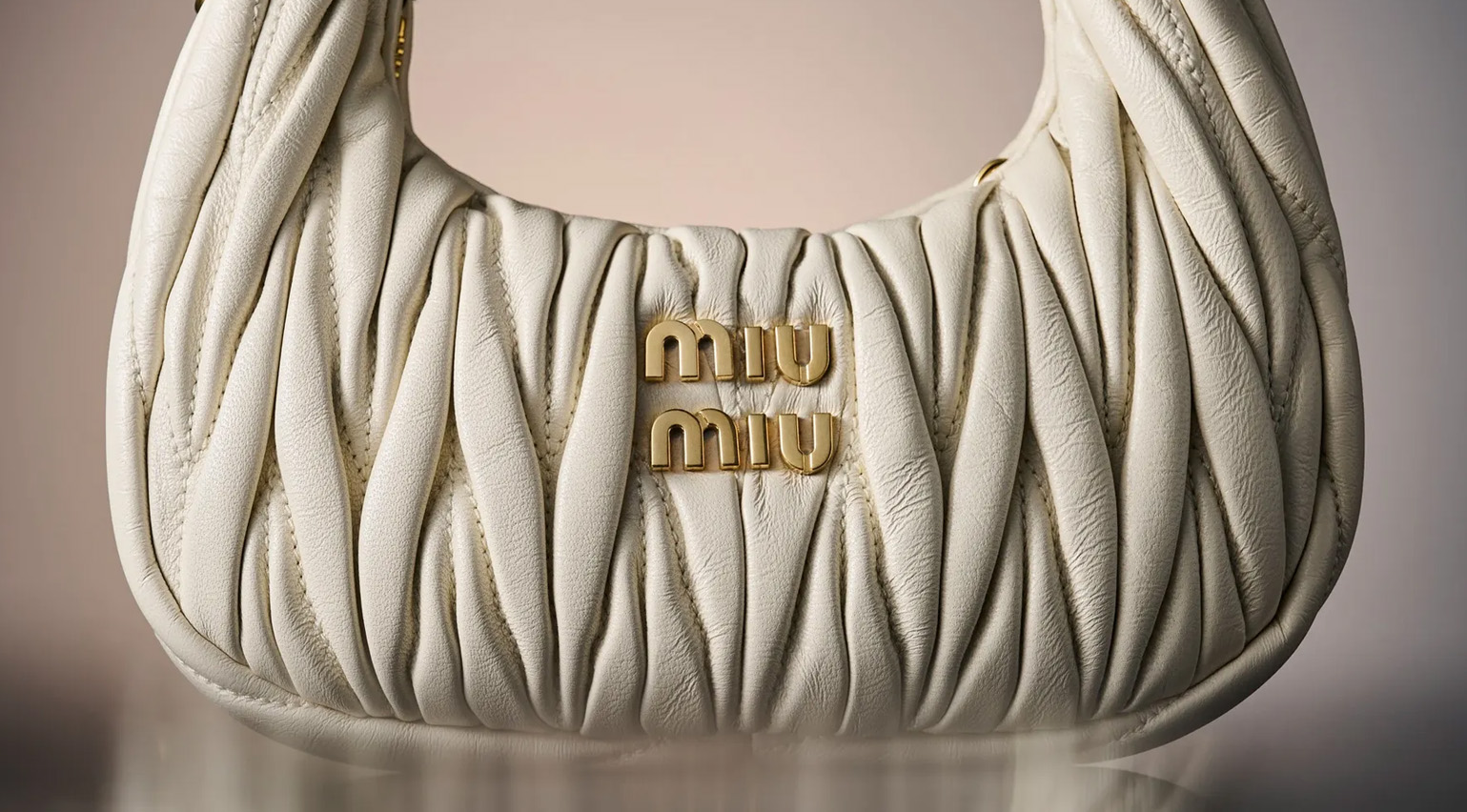 Miu Miu Wander bag