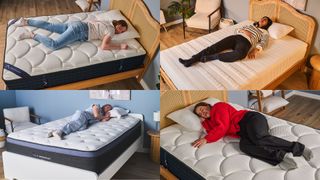 Collage of testers in different sleep positions