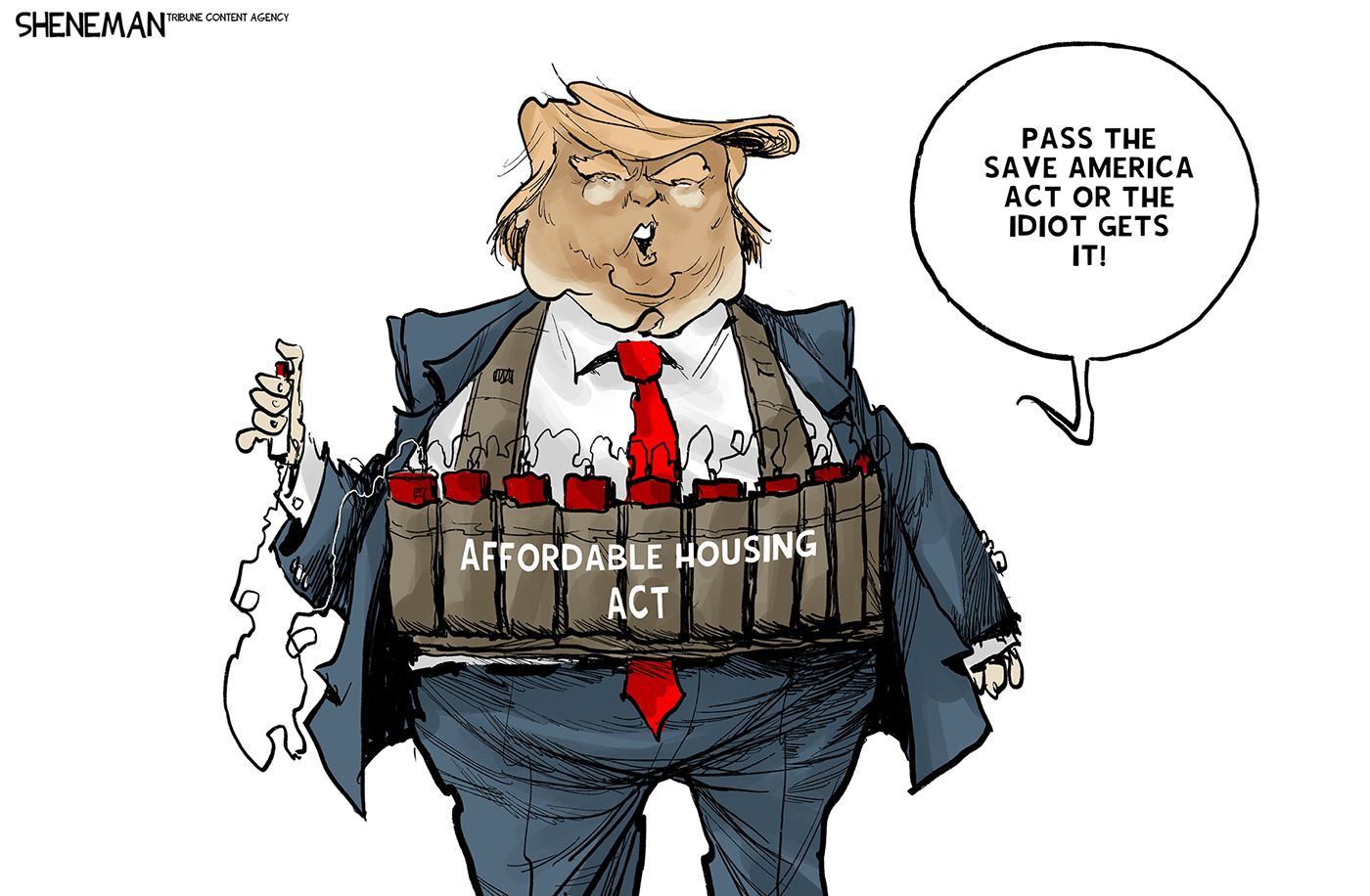 
                                Donald Trump has strapped multiple sticks of dynamite to himself that is labeled “Affordable Housing Act.” He holds his thumb on the plunger and says, “Pass the Save America Act or the idiot gets it!”
                            