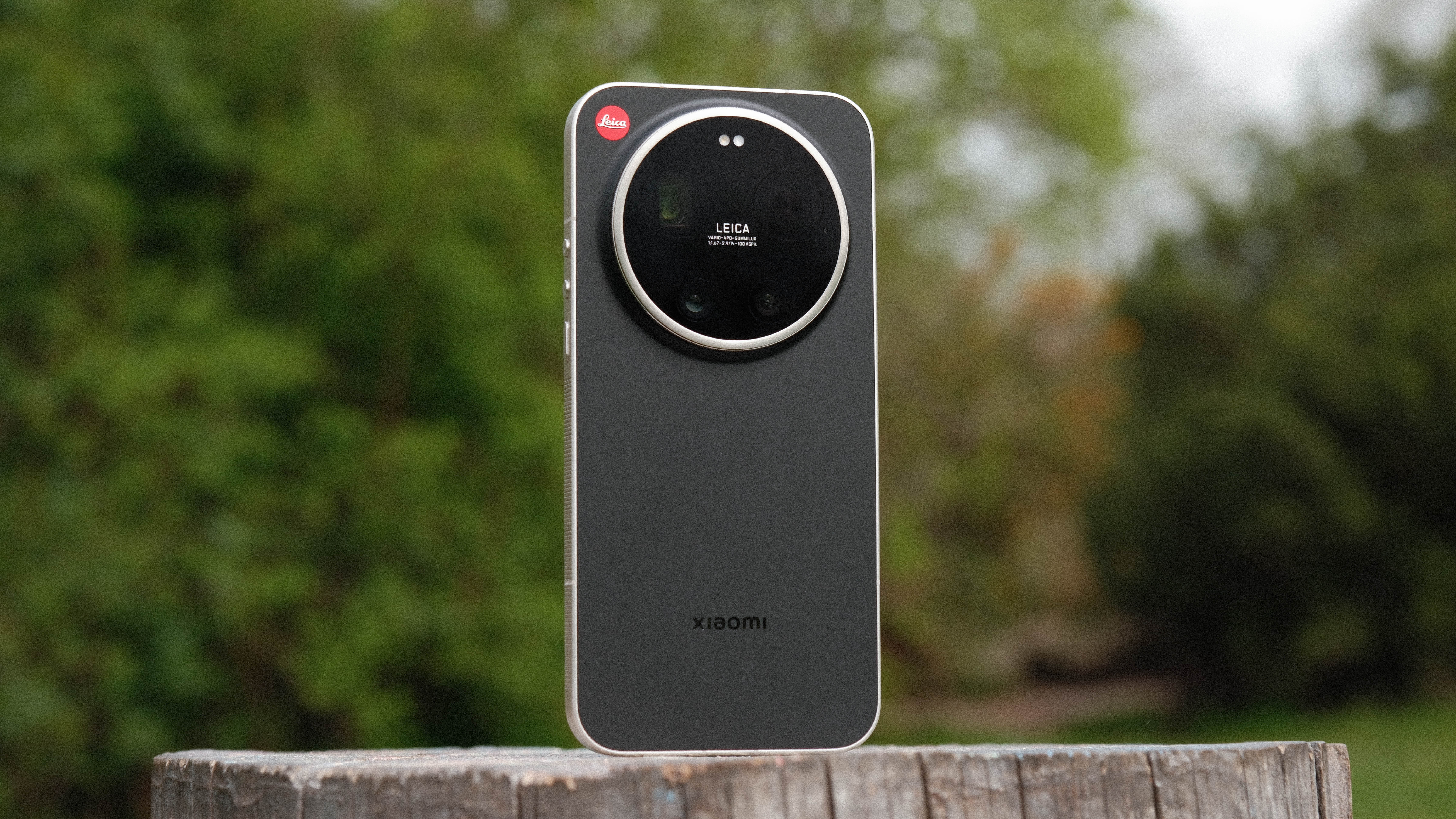 Leica Leitz Phone standing upright outdoors on a wooden stump