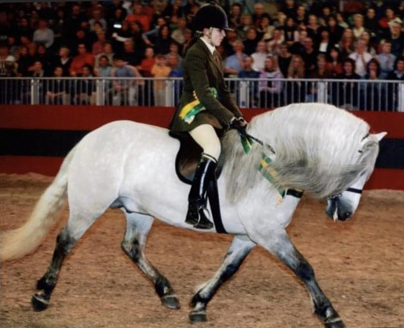 Snowydene at Olympia