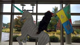 Ninjacat in Redmond's Microsoft Campus.
