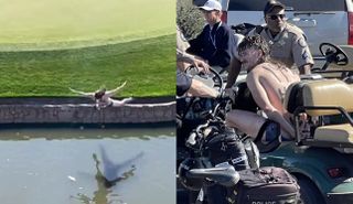 Man belly flops into the pond and is then arrested