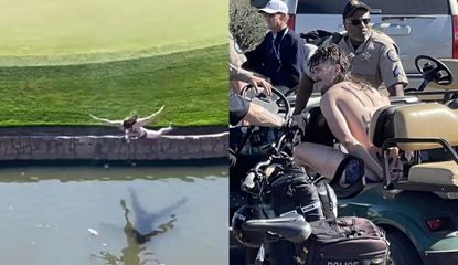 Man belly flops into the pond and is then arrested