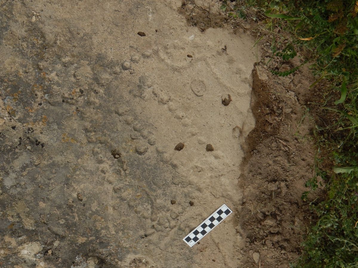 A distinctive pattern of holes scored into the rock of an ancient shelter in Azerbaijan are the remains of a board for one of the world&#039;s oldest games.