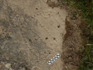 A distinctive pattern of holes scored into the rock of an ancient shelter in Azerbaijan are the remains of a board for one of the world's oldest games.