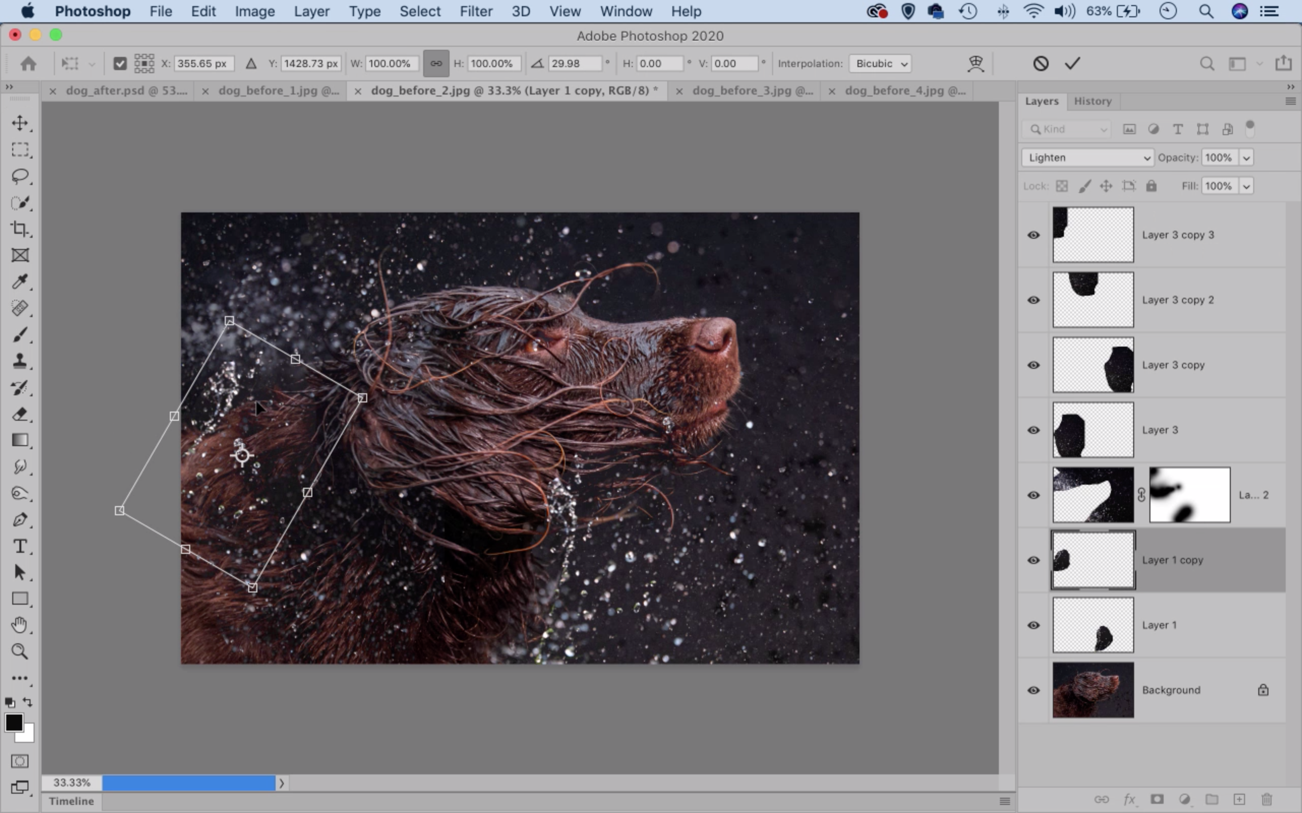 Photoshop dog splash