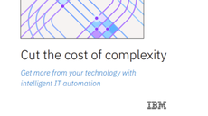 IBV - Cut the cost of complexity report