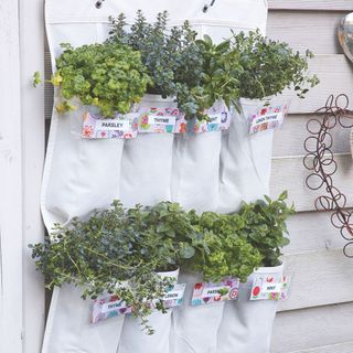 Herbs growing in fabric hanging planter in garden