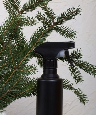 A black spray bottle in front of some pine sprigs